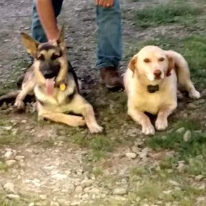 Meet your Posher, Lester